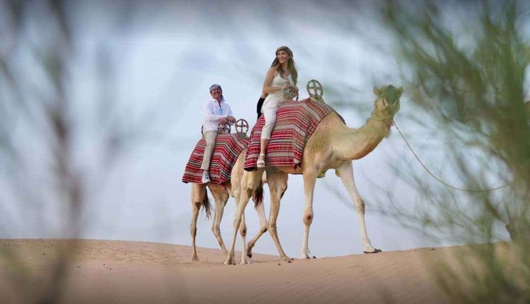 LAND ACTIVITIES | CAMEL RIDING