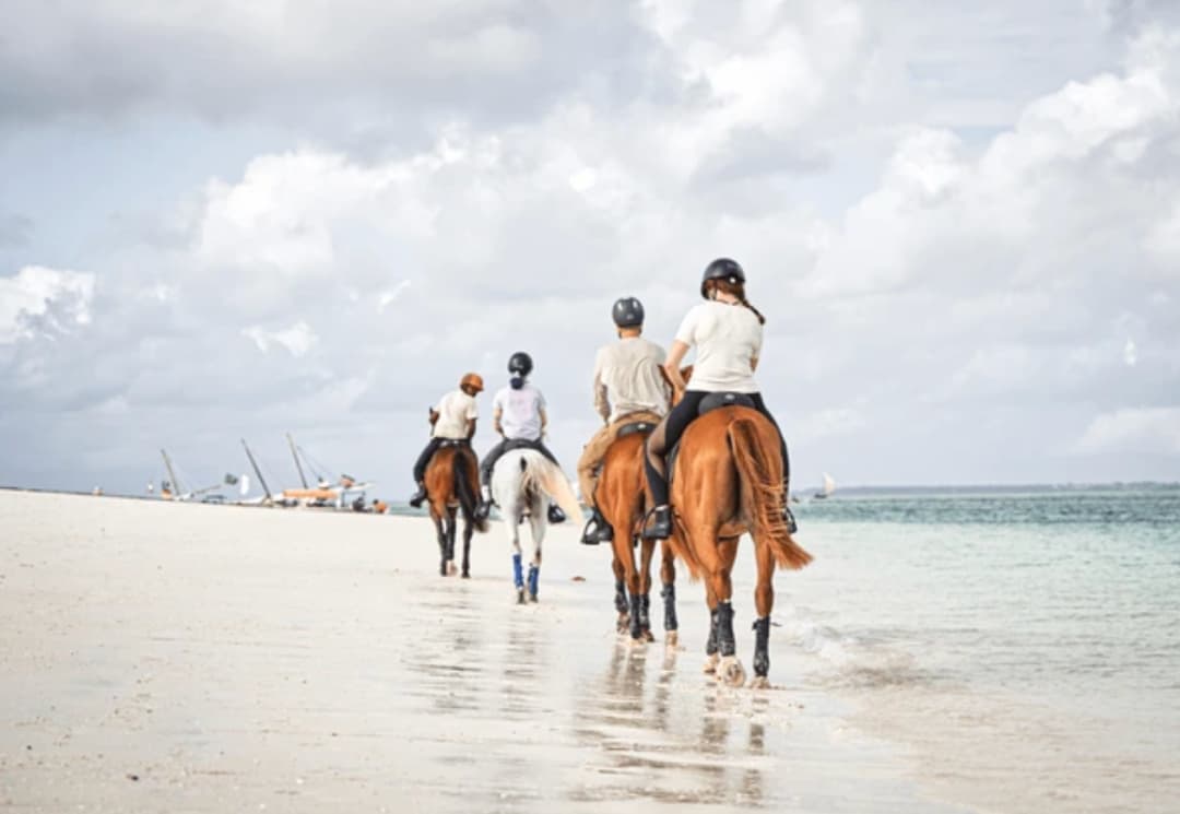 LAND ACTIVITIES | HORSE RIDING