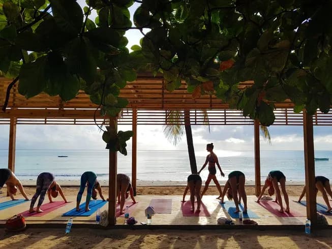 LAND ACTIVITIES | YOGA