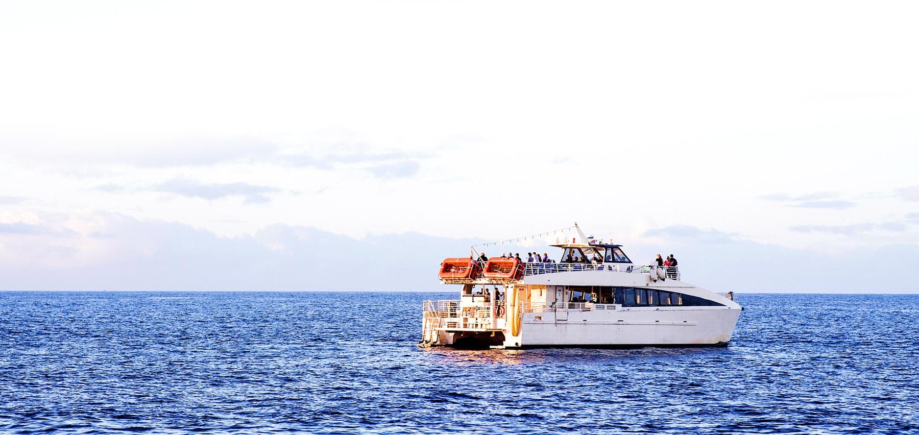 Tours and Activities