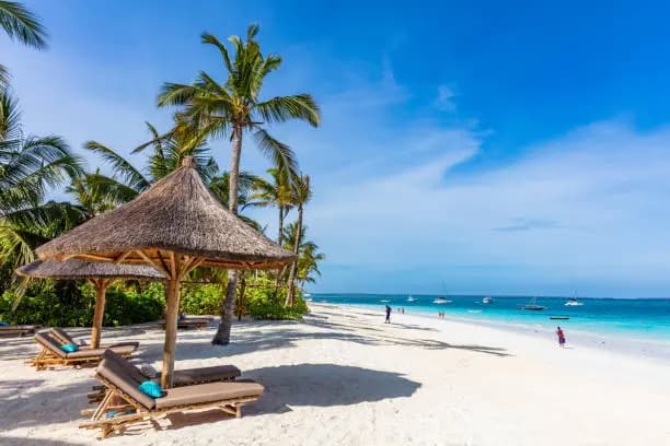Idyllic white sand beach with palm trees and crystal clear turquoise waters in Zanzibar