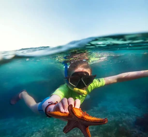 Young snorkeler exploring vibrant coral reef with colorful starfish in Zanzibar's crystal-clear waters