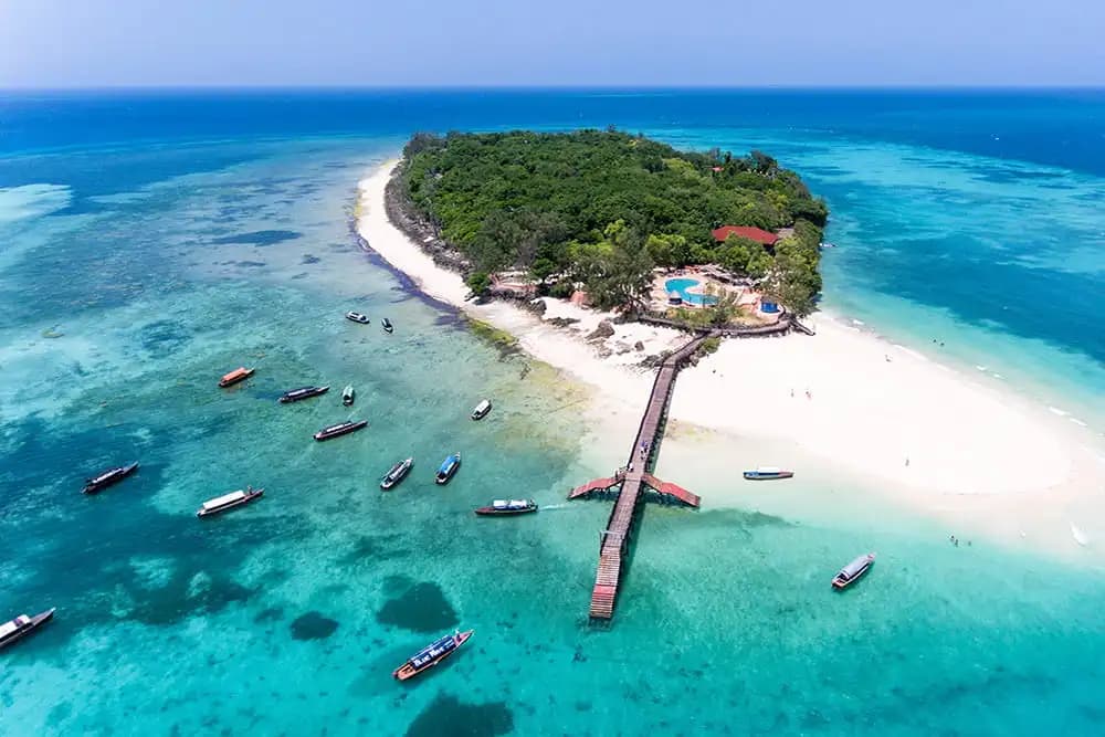 Zanzibar Scene 2